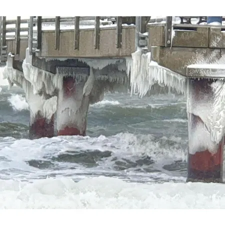 Strand-gut *