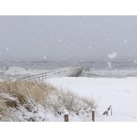 Strand-gut *